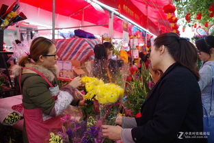 年三十，行花街 中关村在线摄影论坛与花街互娱的文化盛宴